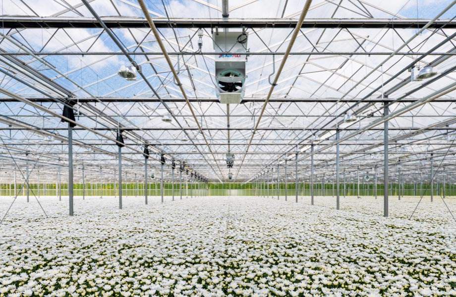 Airmix Model T in werking bij JEM farms