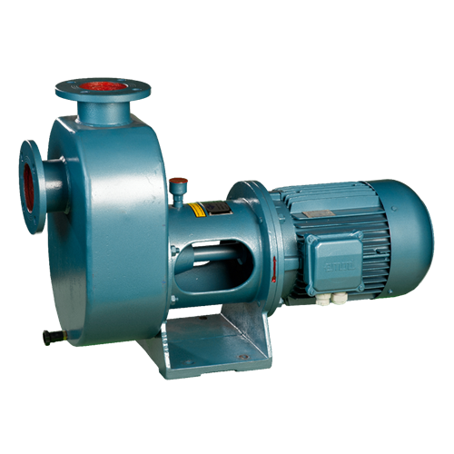 Goan zelfaanzuigende pomp met pomphuis en elektromotor