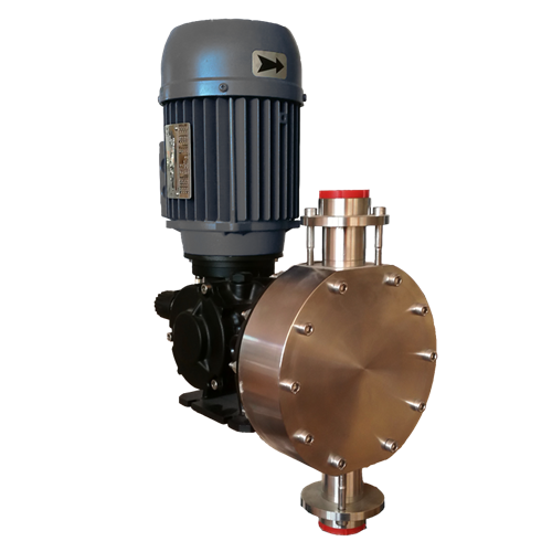 Injecta Taurus met pompkop van SS316 inclusief motor