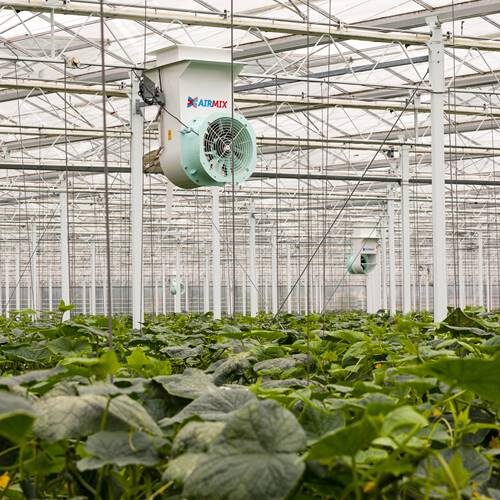 meerdere Airmix Model T geïnstalleerd in tuinbouwkas praktijkfoto