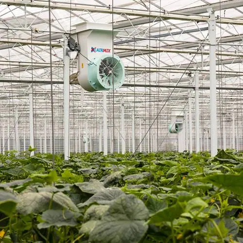 meerdere Airmix Model T geïnstalleerd in tuinbouwkas praktijkfoto