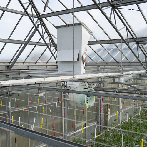 Airmix model X praktijkfoto geïnstalleerd in een tuinbouwkas