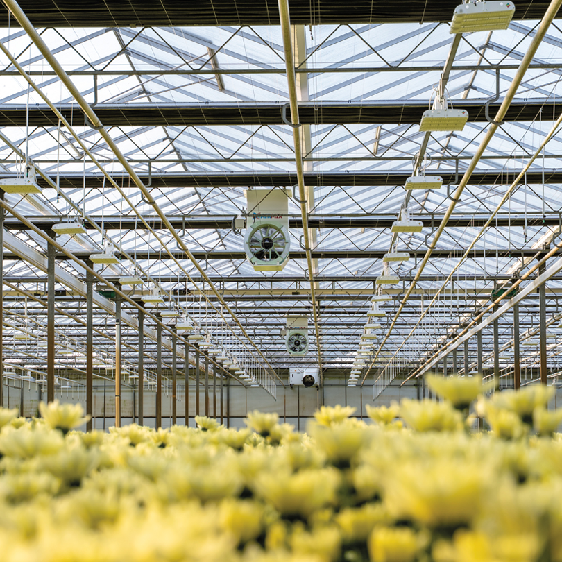 Airmix Active aan het actief ontvochtigen met de airmix model t